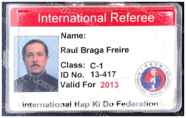 Carteira de árbitro internacional Classe C-1, IHF, 2013