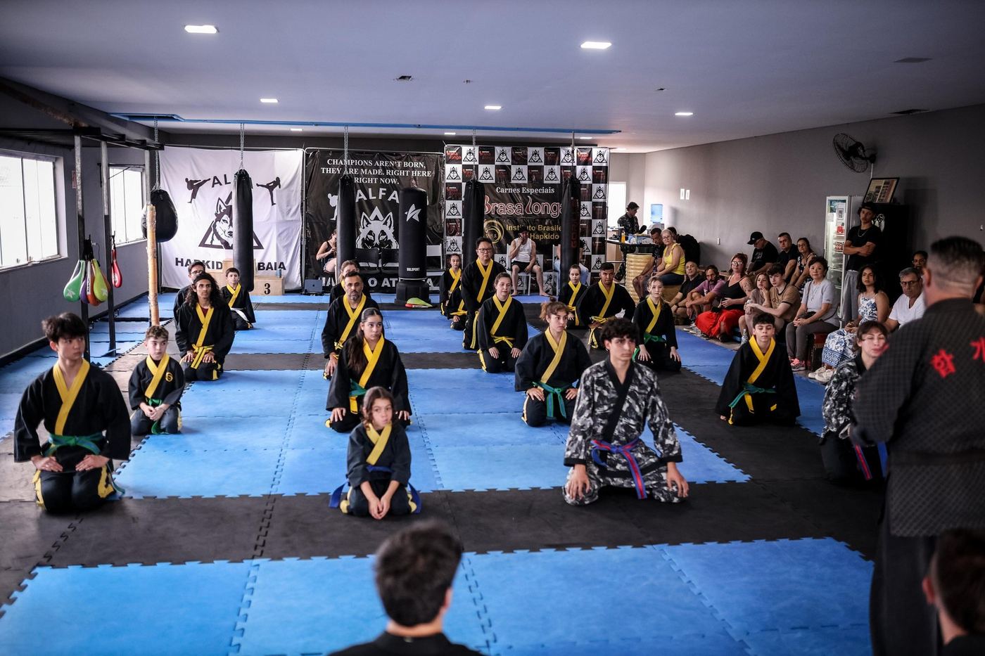 Turma do Instituto Brasileiro de Hapkido reunida em formação no dojang, durante evento aberto ao público